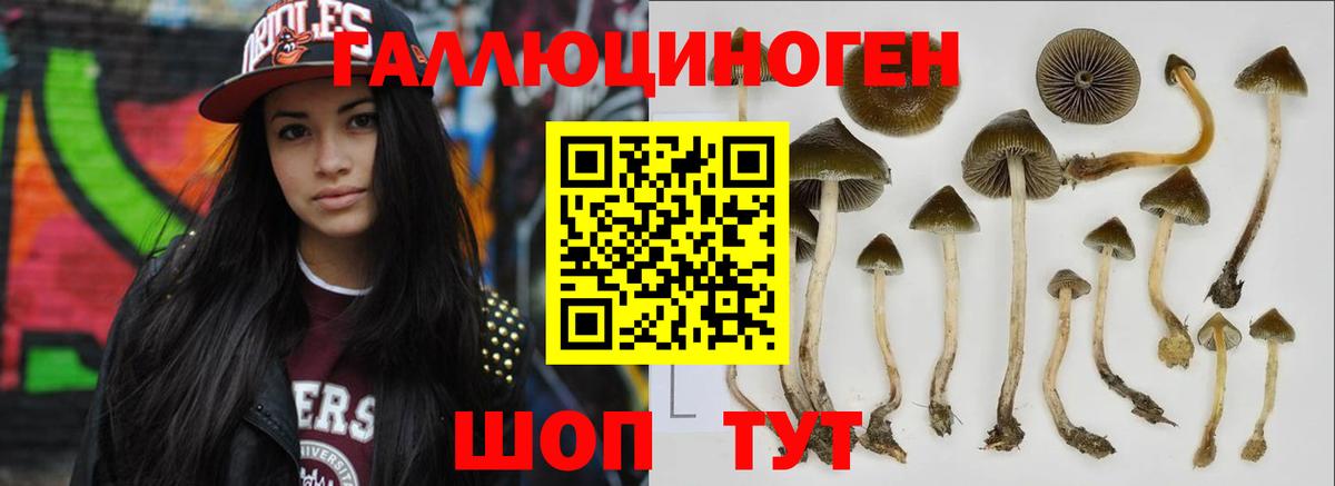Галлюциногенные грибы мухоморы Тимашёвск